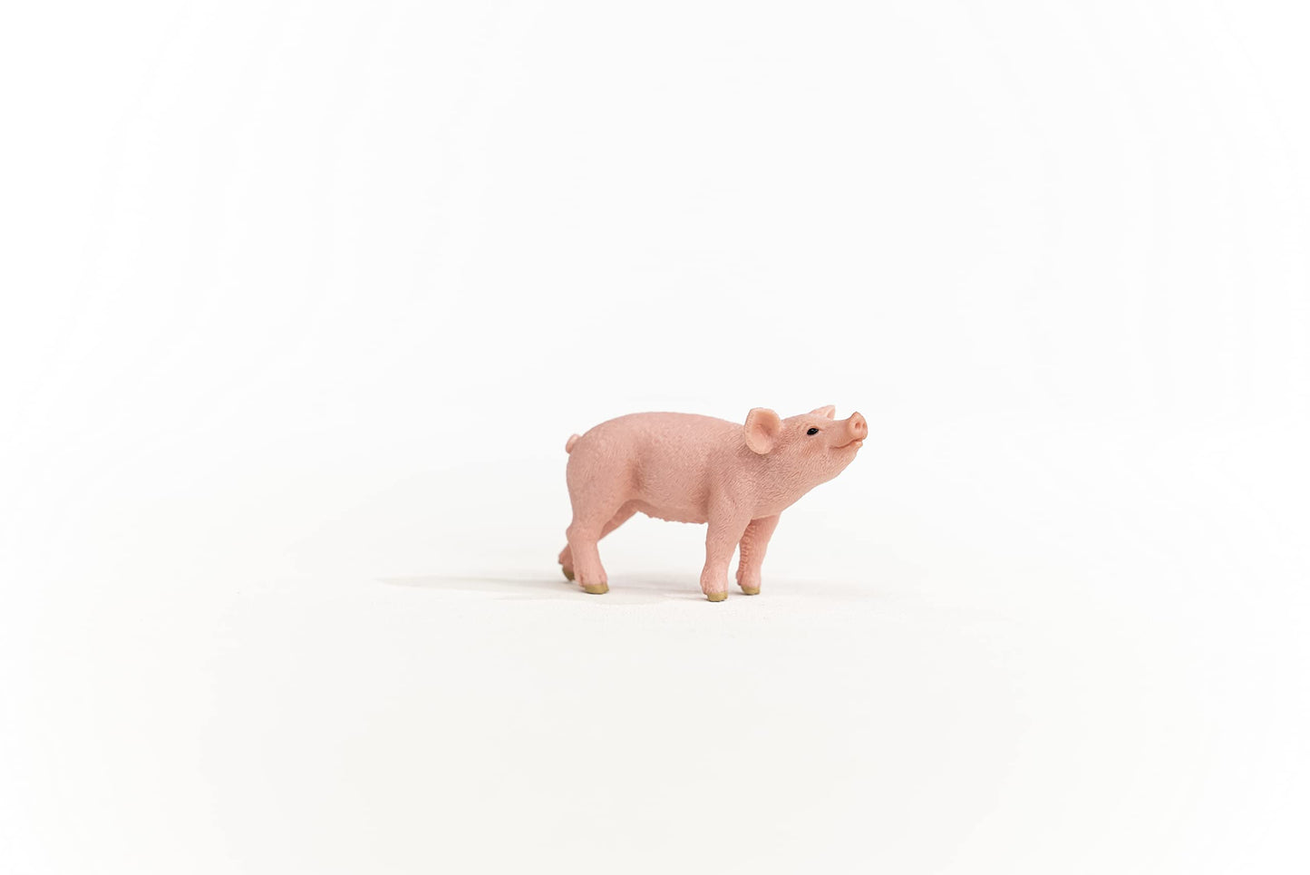 13934 - Piglet