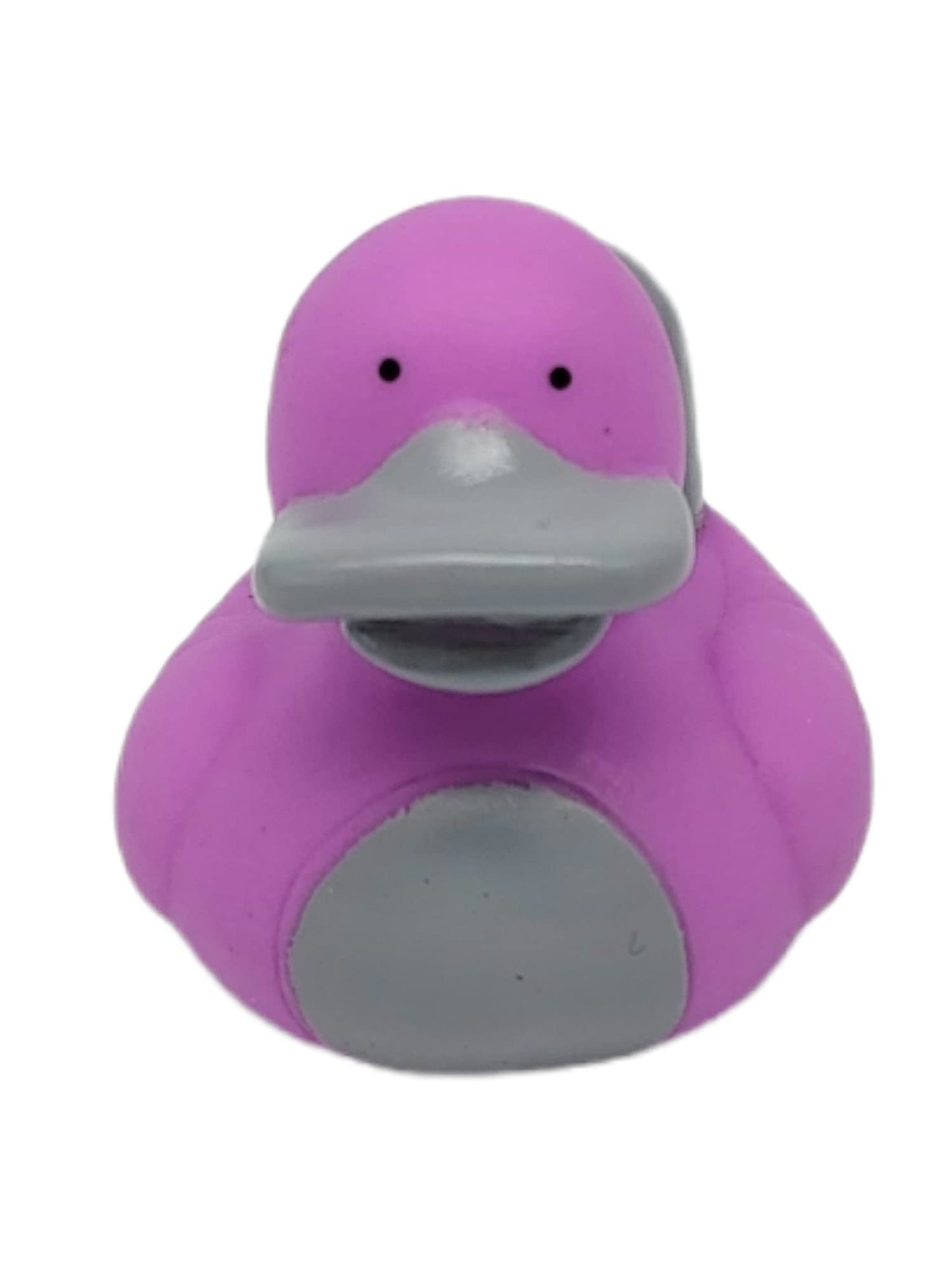 Cool Rubber Ducks (2') Standard Size. (12 Pack) Cute Duck Bath Tub Pool Toys. (Australian Animals Rubber Ducks)