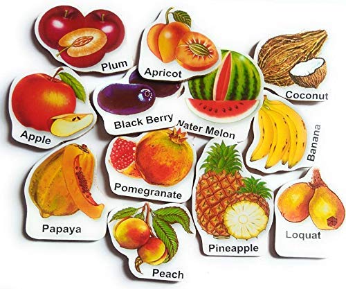 Futurez Key Wooden Magnetic Fruits Name Cards/Multicolour Flash Card For Kids/Attractive Shape With Fruits Name (10 Pieces)
