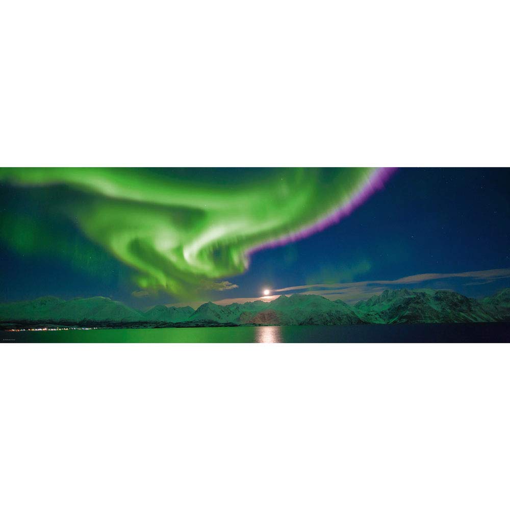 Polar Light (Puzzle)