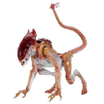 Aliens - 7' Scale Action Figure - Ultimate Kenner Tribute Panther Alien