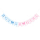 Hahafelt 1 Pcs Blue Pink Gingham Boy or Girl Banner for Party Decorations Blue Pink Pre Strung Baby Shower Boy or Girl Gender Re