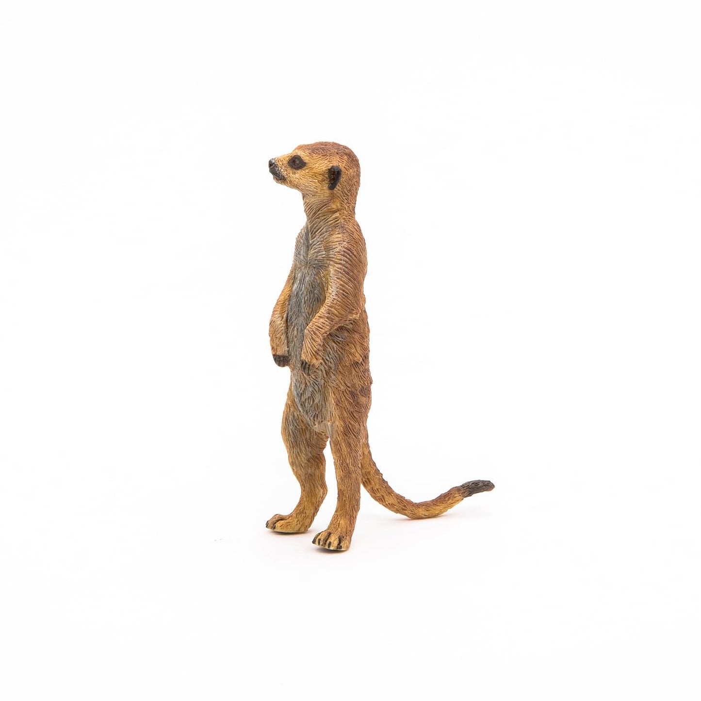 Papo -Hand-Painted - Figurine -Wild Animal Kingdom - Standing Meerkat -50206 -Collectible - For Children - Suitable For Boys And Girls- From 3 Years Old