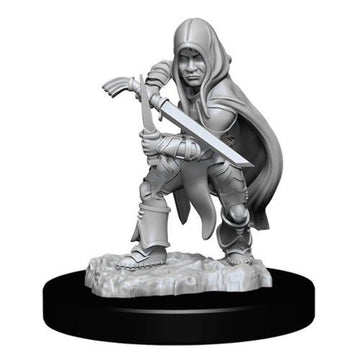 D&D Nolzur'S Marvelous Miniatures: Halfling Rogue Male