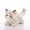 CU-MATE 20" Grey Ragdoll Cat Plush Toy - Realistic Handmade Stuffed Animal, Model buoumao-220415