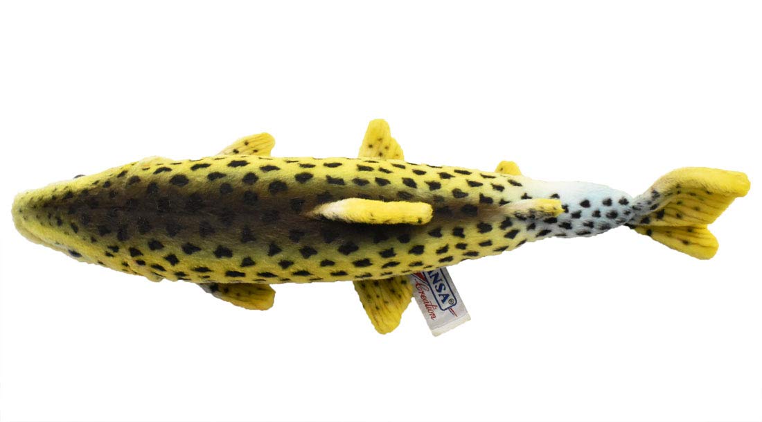 Ha Trout Fish 14' By Hansa