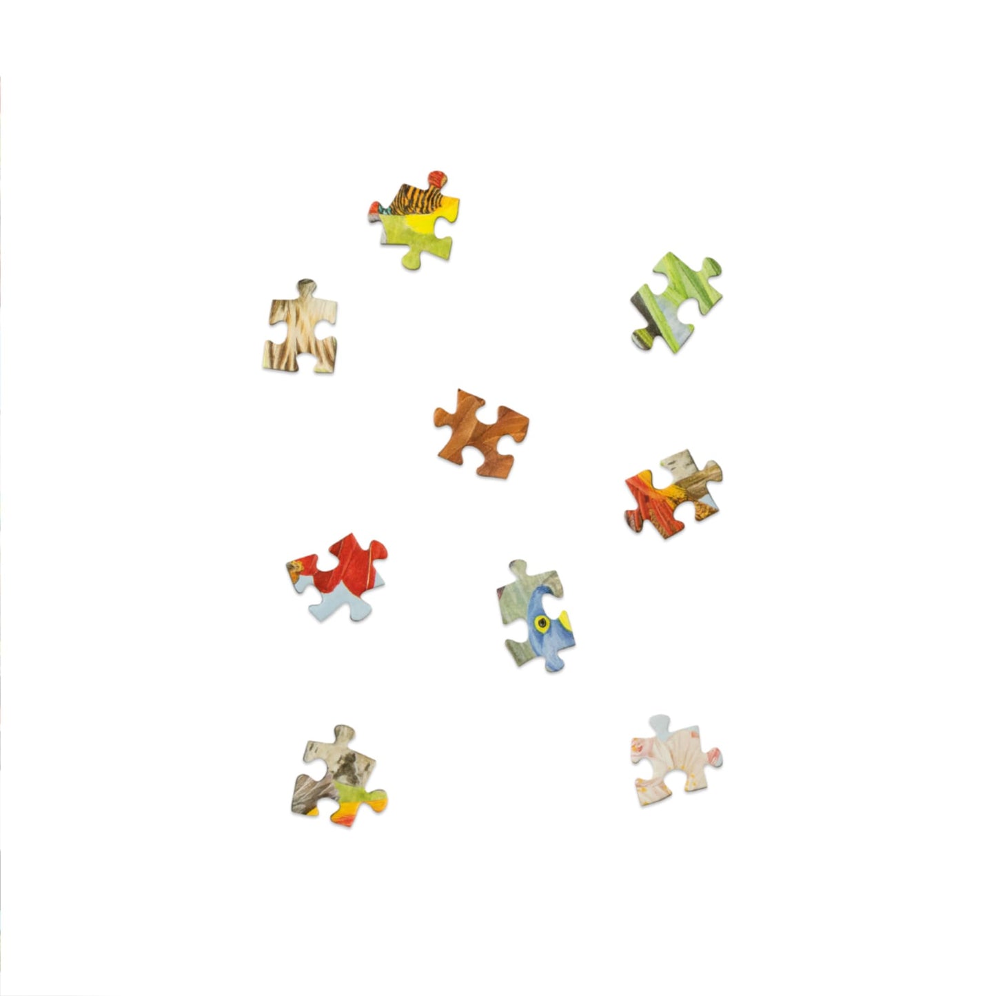 Laurence King 1000 Piece Puzzle - Around The World in 50 Birds - Paper - Model 9781399620024