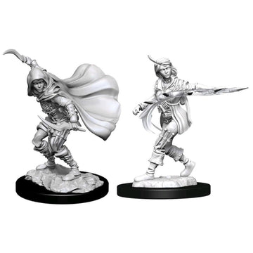 Pathfinder Deep Cuts: Human Rogue Female