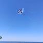 Dragon Kite For Adults, Kids Kite, Kite Boy,Beach Kite, Large Kite,Kites For Kids Ages 8 12 Easy To Fly, Kite For Beginners, Lar