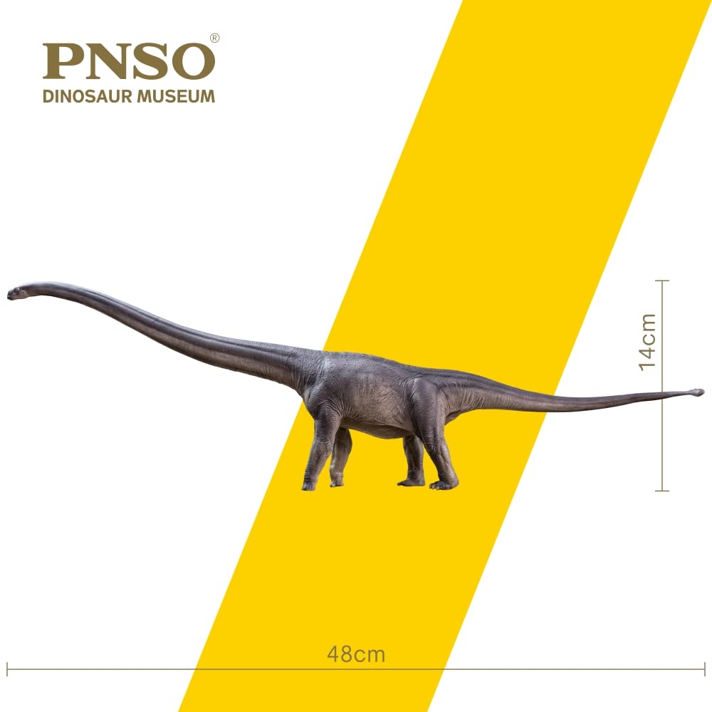 PNSO Dinosaur Museums Series Mamenchisaurus Model, 12.75" Plastic, 1:45 Scale
