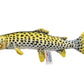 Ha Trout Fish 14' By Hansa