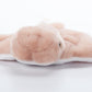 The Petting Zoo Cownose Ray Plush Toy, 15 Inch, Brown, Soft Stuffed Animal for Kids, Model 321105