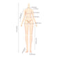 Ymy Female Doll Body Obitsu22 Obitsu24 Bjd Girl Doll For Gsc, Blythe,Icy,1/6 Scale Bjd Doll Head (Normal White-8.66 In)