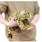 Ice King Bear Wild Animal Stuffed Animals Zoo Family Plush Toy (Golden Cheetah 13 Inches)
