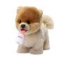 Electronic Walking Pomeranian Stuffed Dog Toy, Realistic Interactive Puppy Robot Pet Dog, Walking, Barking,Wagging Tail & Talkin