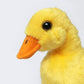 Tammyflyfly Yellow Chick Stuffed Animal Chicken White 5 Inches, 12Cm, Plush Toy, Duck Soft Toy (1Yellow Duck)