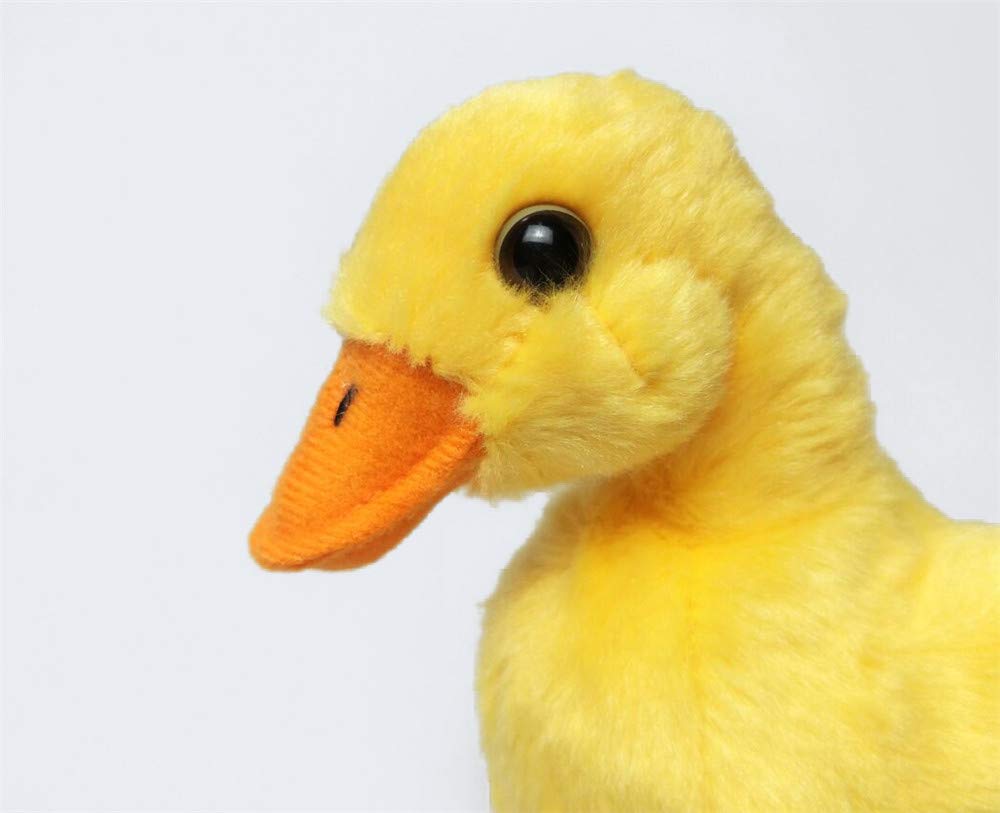 Tammyflyfly Yellow Chick Stuffed Animal Chicken White 5 Inches, 12Cm, Plush Toy, Duck Soft Toy (1Yellow Duck)