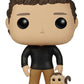 Funko Friends Ross Geller Pop Vinyl Figure