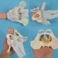 Childbirth Demonstration Pelvis Model-Mini Female Pelvis&Baby Model - Fetus/Umbilical Cord/Placenta-Childbirth Simulator Female