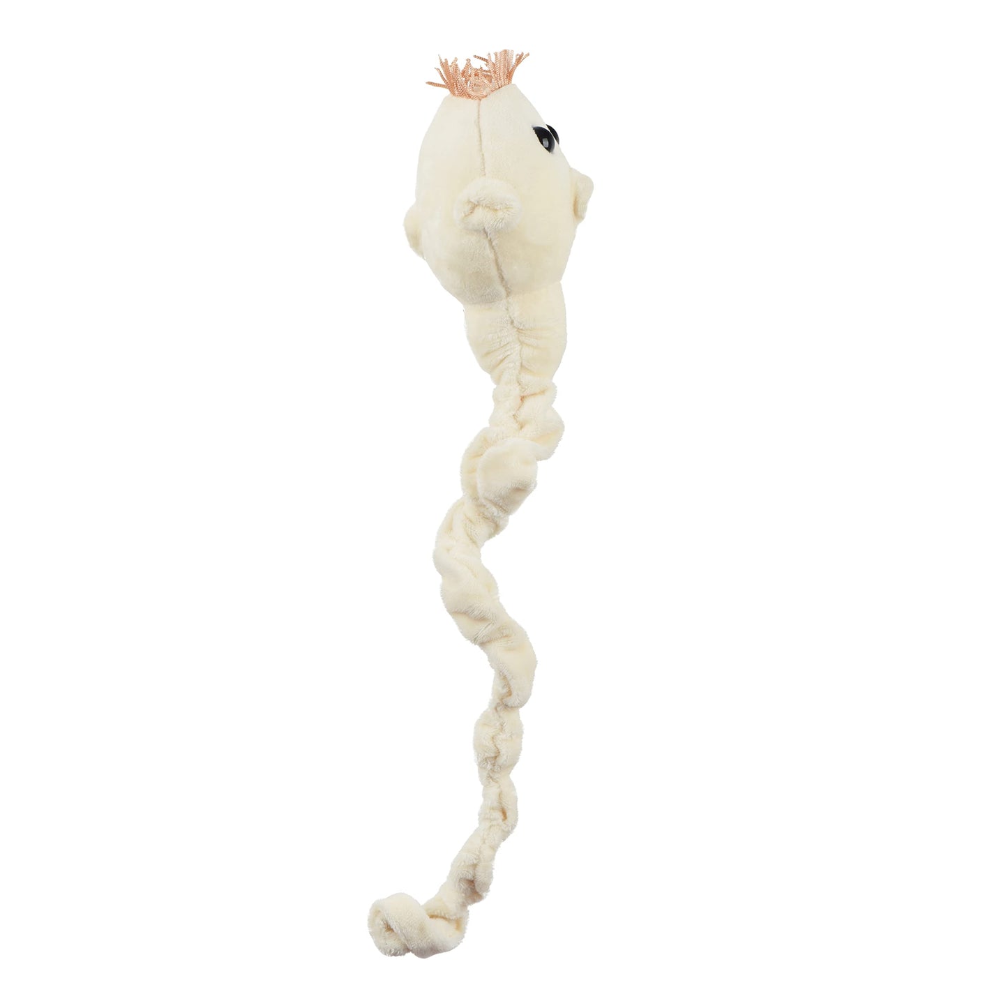 Giant Microbes Tapeworm (Taenia Ovis) Plush