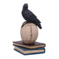 Nemesis Now Raven's Spell 10.3cm  Black U5744U1