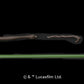 Bandai Hobby Star Wars Character Line Yoda Star Wars 1/6 & 1/12, White (BAN214473)
