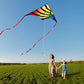 Xida Kite Large Delta Kites For Beginners & Adults, Wonderful Beginner Kite Suitable For All Ages,Easy Flyer Single Line Kite. B