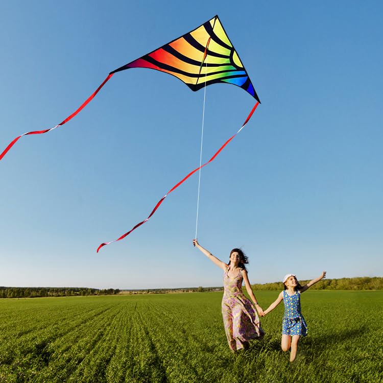 Xida Kite Large Delta Kites For Beginners & Adults, Wonderful Beginner Kite Suitable For All Ages,Easy Flyer Single Line Kite. B