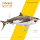 Pnso Prehistoric Animal Models (54Aidan The Cretoxyrhina)