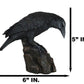 Ebros Gift Gothic Macabre Edgar Poe Perching Raven On Rock Figurine 5' Tall Gothic Crow Scavenger Bird Decor Sculpture