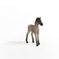 Schleich Horse Club Horses 2022, Realistic Horse Toys For Girls And Boys, Criollo Definitivo Foal Baby Horse Figurine, Ages 5+