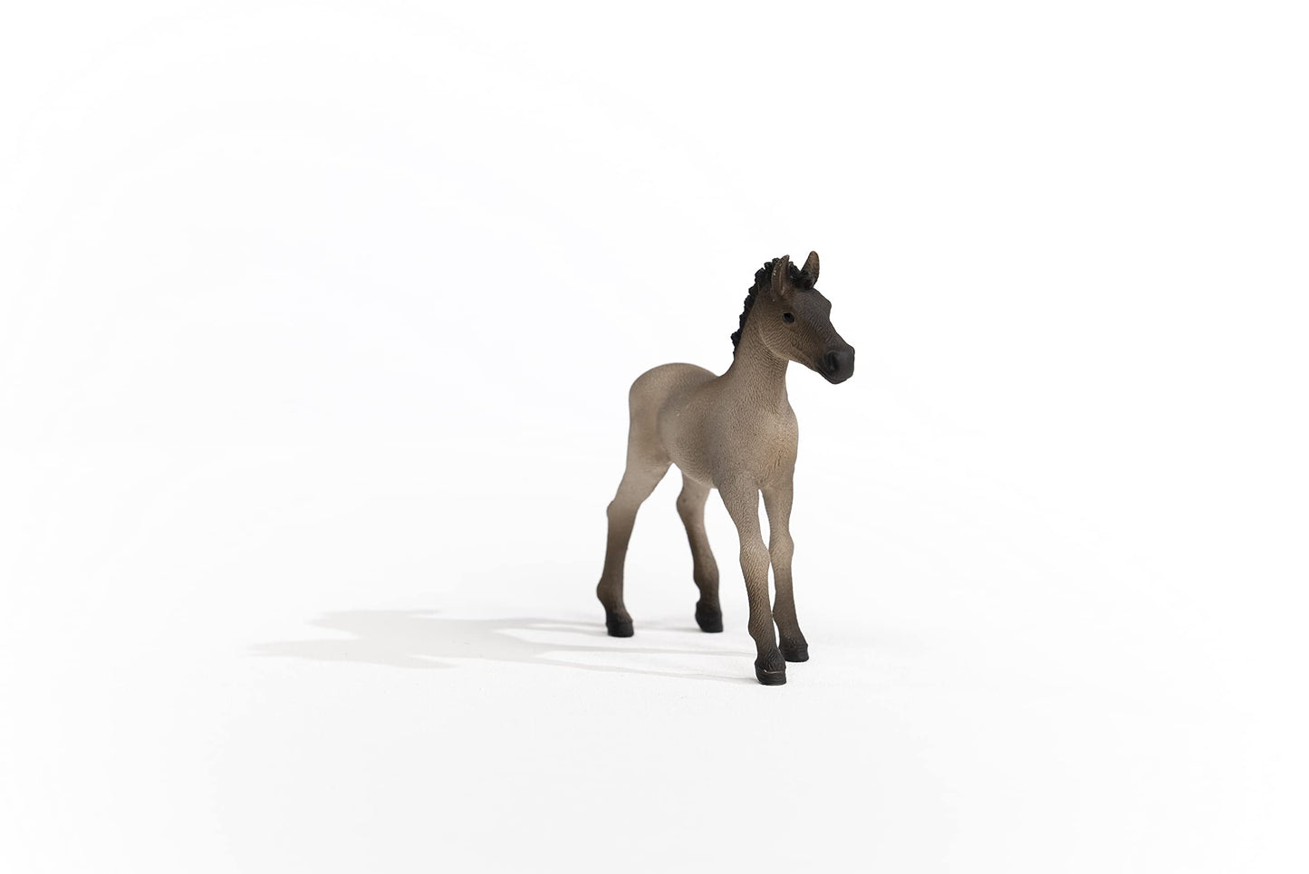 Schleich Horse Club Horses 2022, Realistic Horse Toys For Girls And Boys, Criollo Definitivo Foal Baby Horse Figurine, Ages 5+