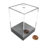 Figuredisplay Box Lg