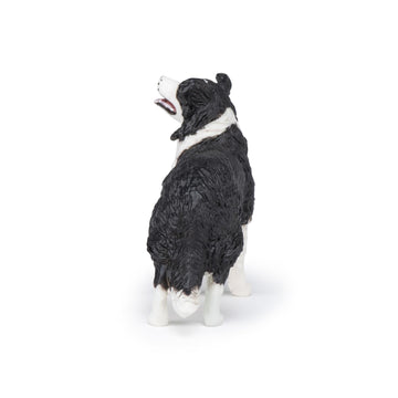 Papo - Border Collie - Realistic Figurine - For Ages 3+ - Dogs And Cats Collection - Hand Painted - Highly Detailed - Durable And Educational - Gift Idea - Collectable - Border Collie Toy