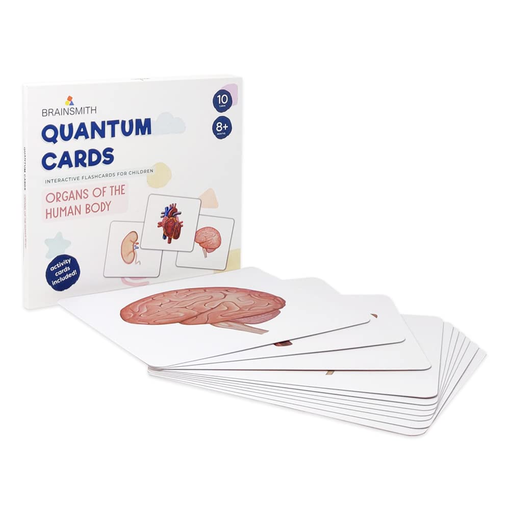 Brainsmith Quantum Flash Cards For Kids  Organ Of Human Body Theme, Gift Set, NonTearable, Water Resistant, Educational Pictur