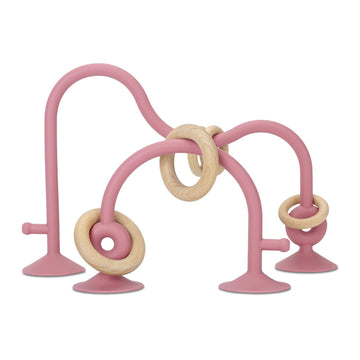 Socub Silicone Baby Sensory Toys, Montessori Educational Toys For Baby 6 12 18 Months, Parent-Child Toys With Suction Cup, 2 Pack(Dark Pink), Medium, Tr063