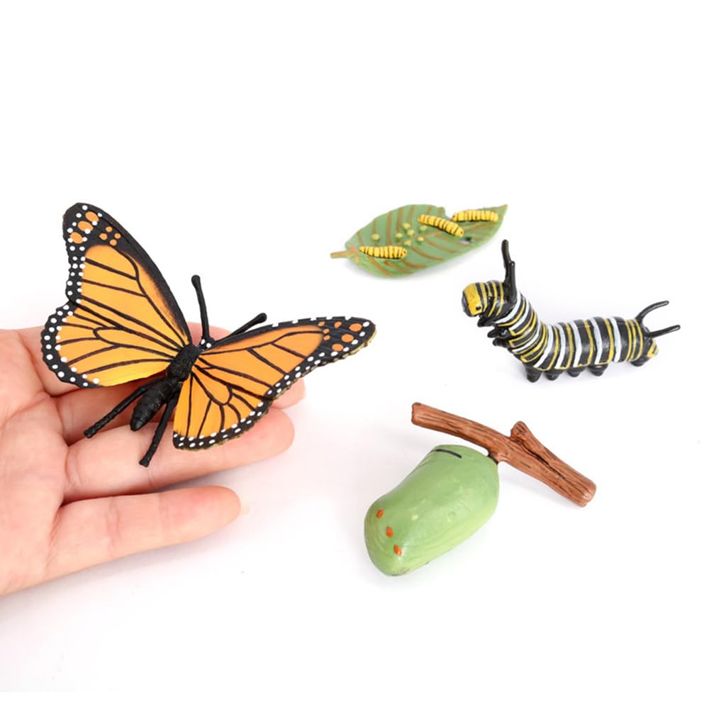Butterfly Growth Cycle, Animal Growth Cycle Biological Model, Growth Stage Lifelike Butterfly Life Cycle Model Set For Kids Educ