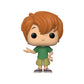 Funko Pop! Movies: Scooby Doo - Shaggy limited availability Vinyl Figure #911