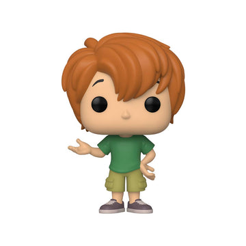 Funko Pop! Movies: Scooby Doo - Shaggy limited availability Vinyl Figure #911