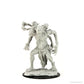 Wizkids/Neca D&D Nolzur'S Marvelous Mini Dire Troll (6 Units) Miniature Figure