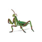 Papo -Hand-Painted - Figurine -Wild Animal Kingdom - Praying Mantis -50244 -Collectible - For Children - Suitable For Boys And G