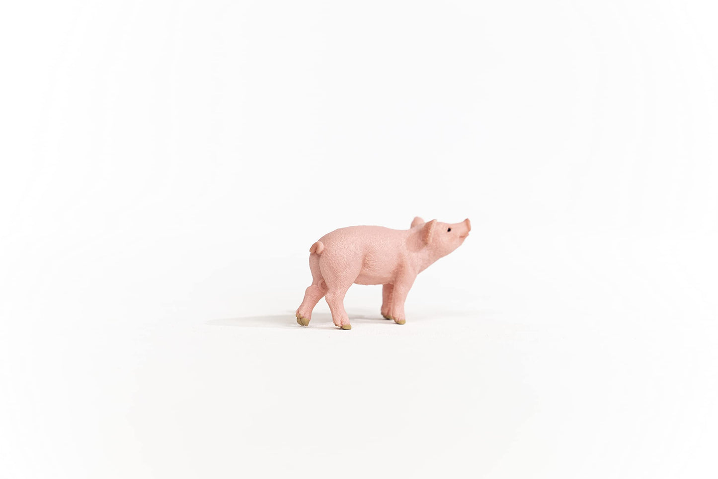 13934 - Piglet