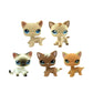 5Pcs Mini Pet Kitty Cat #5#525#228#1024#1170 Rare Short Hair Cat Action Figures Kids Boy Girl Toys