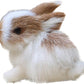 Katartizo Mini Realistic Cute Plush Rabbits Lifelike Animal Easter Bunny Simulation Model Birthday Gift Stuffed Animals and Tedd