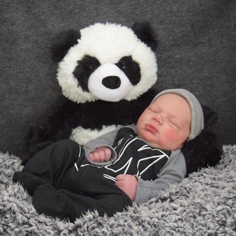 Vermont Teddy Bear Panda Stuffed Animal - Panda Bear Stuffed Animal, 18 Inch