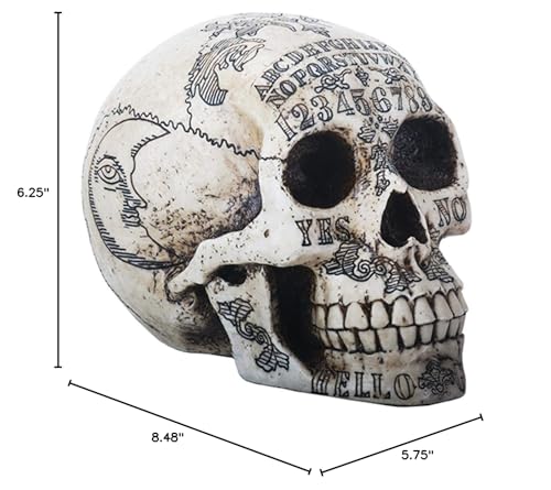 Summit Collection Paranormal Skull Head With Ouija Symbols Collectible Figurine