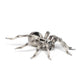 Papo -Hand-Painted - Figurine -Wild Animal Kingdom - Tarantula -50190 -Collectible - For Children - Suitable For Boys And Girls- From 3 Years Old