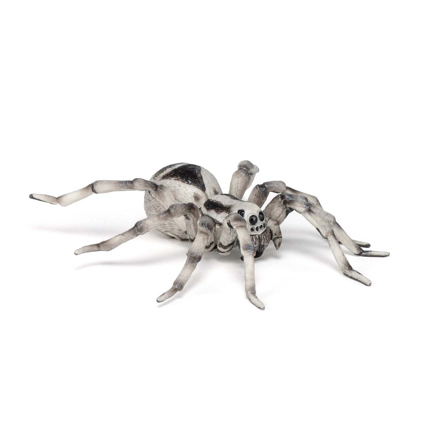 Papo -Hand-Painted - Figurine -Wild Animal Kingdom - Tarantula -50190 -Collectible - For Children - Suitable For Boys And Girls- From 3 Years Old