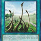 Yu-Gi-Oh! - Dragon Shrine - Sdrr-En028 - Common - 1St Edition - Structure Deck: Rokket Revolt