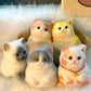 3DTaba Squishy Cat,Cat Taba Squishy,Squishy Toys,Taba Cat Squishy Squeeze Toys,Adorable Squishy Cat, Large Taba Soft Giant Squis